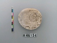 藏品(貝刮器)的圖片